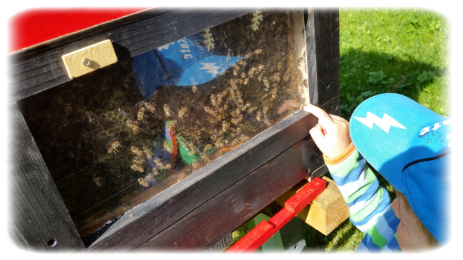 Schön was die Bienen bauen.