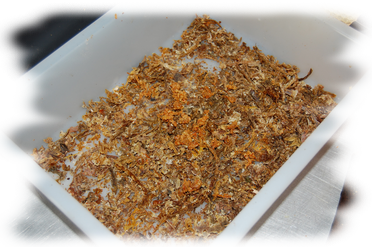 FRISCHES PROPOLIS